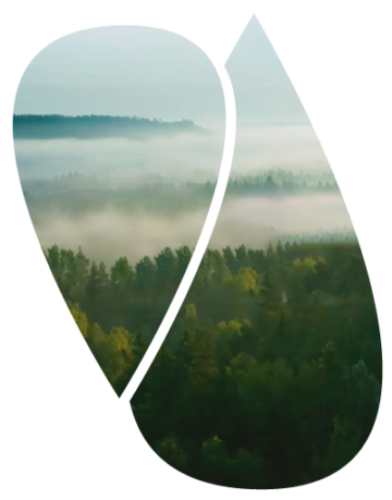 Illustration Eversaule